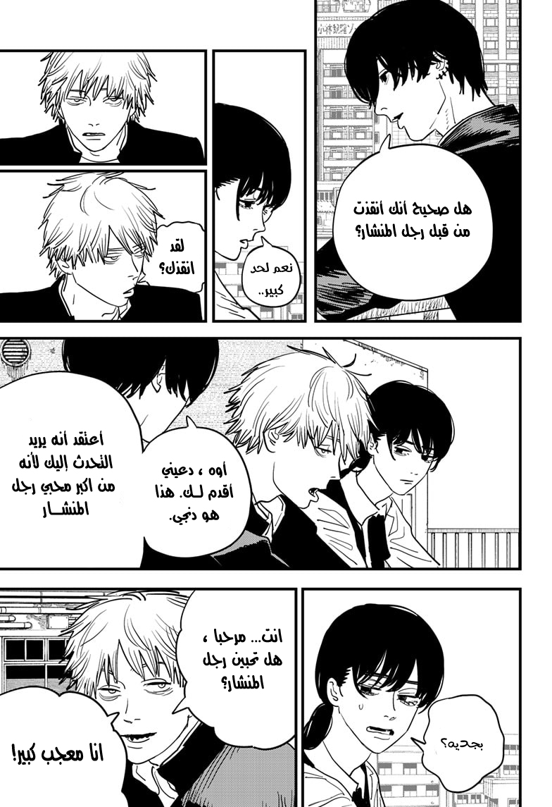 صفحة 13